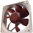 Noctua NF-R8 80mm Quiet Case Fan